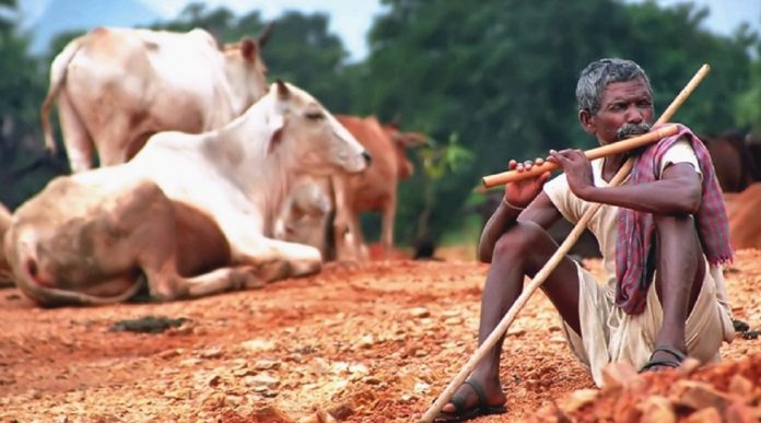 tribal-696x387
